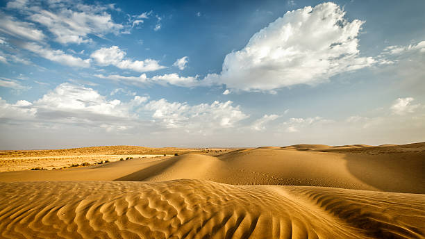 タール砂漠の砂丘、インド・ラージャスターン州） - india rajasthan thar desert travel ストックフォトと画像