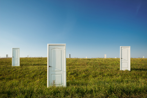 The concept of choice: many doors in a green field