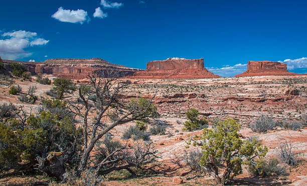 istock the table mountains in Canyonlands NP 494924952