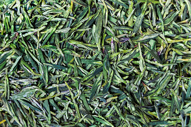 Green Tea stock photo