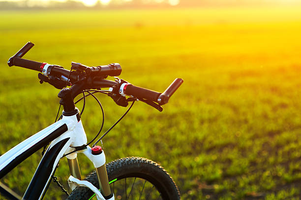 istock Beautiful close up scene of bicycle at sunset, 494927992