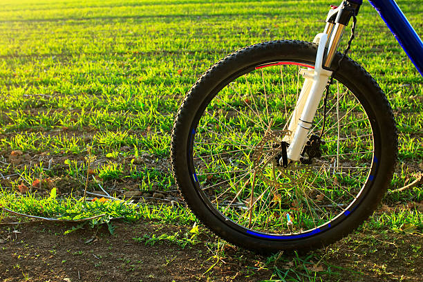 istock Beautiful close up scene of bicycle at sunset, 494929150