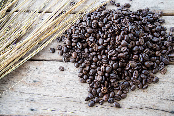 chicchi di caffè su legno sfondo - coffeetree foto e immagini stock