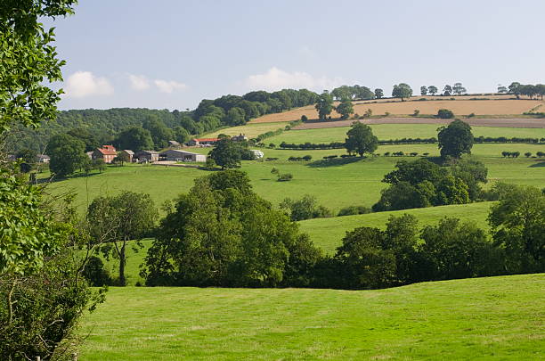 The Yorkshire Wolds - foto stock