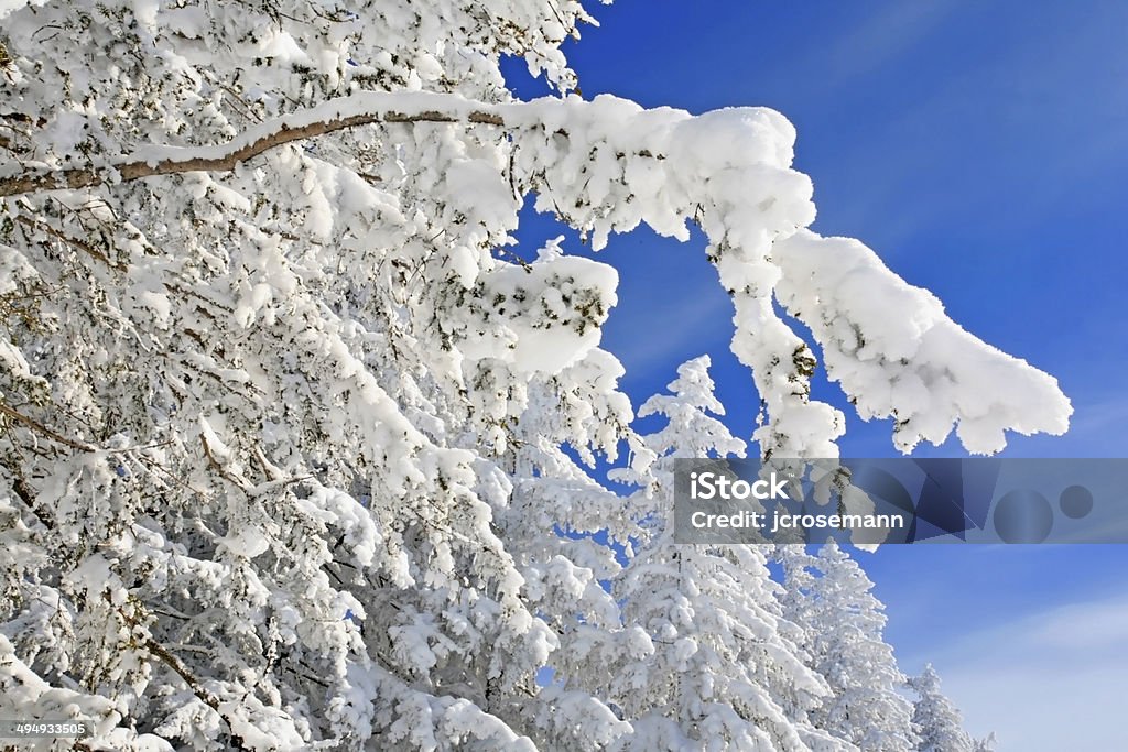 Winter Landscape http://i95.photobucket.com/albums/l124/jcrosemann/Winter_Landscapes_zps74fc2679.jpg Blue Stock Photo