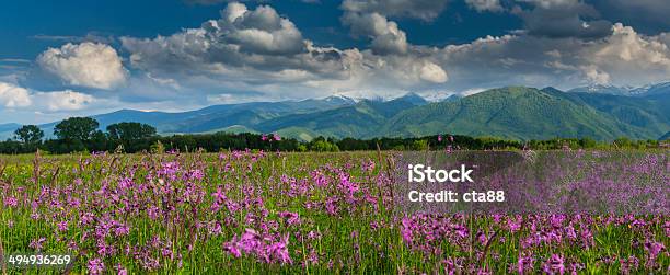 Summer Scenery In The Alps Stock Photo - Download Image Now - Aerial View, Austria, Blue