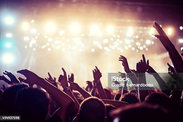 This Partys On Fire Stock Photo - Download Image Now - Music Festival, People, Performance