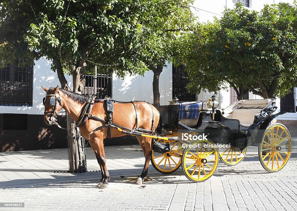 Horse carriage Horse carriage in Seville, Andalusia, Spain Andalusia Stock Photo