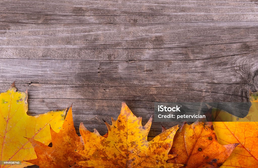 Marco de hojas de otoño sobre fondo de madera - Foto de stock de 2015 libre de derechos