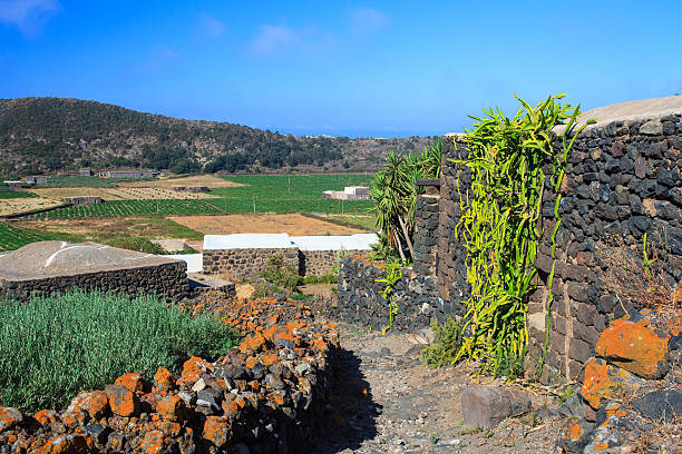 istock Dammuso, Pantelleria, Italy 494939059