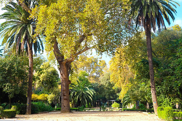 parc maria luisa - spain plaza de espana europe town square photos et images de collection