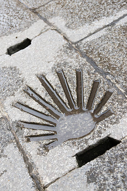istock Shell of The St. James Way. 494939397