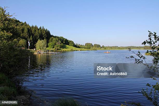 Bath Lake Stock Photo - Download Image Now - Allgau, Aquatic Sport, Bavaria