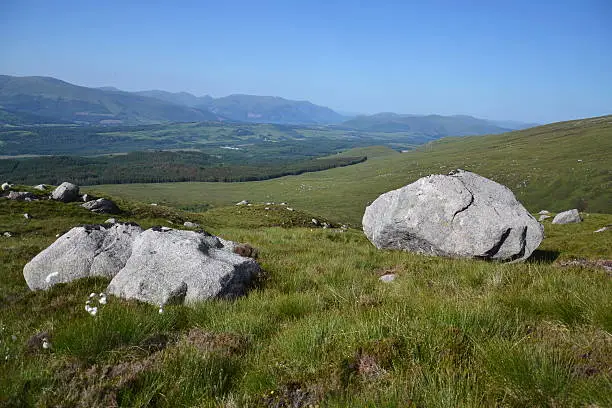 Photo of Nature around Ben Nevis, Highlands, Scotland