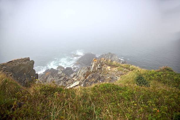 istock Rugged cliffs by  the ocean foggy 494940990