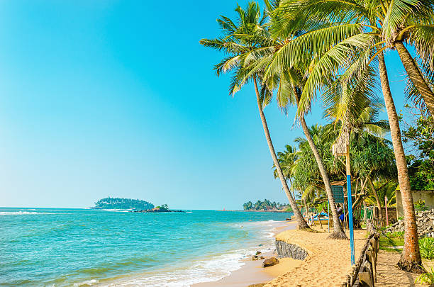 istock Beautiful paradise beach with tall palm trees 494945138
