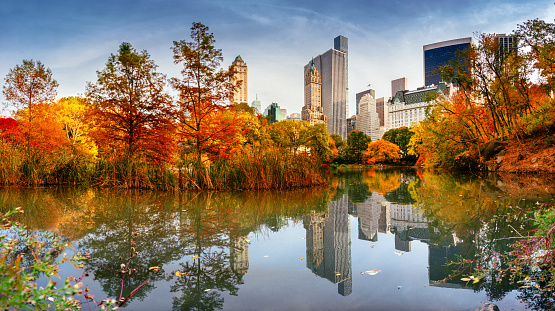 Skyline View of New York City in Autumn from Central Park.