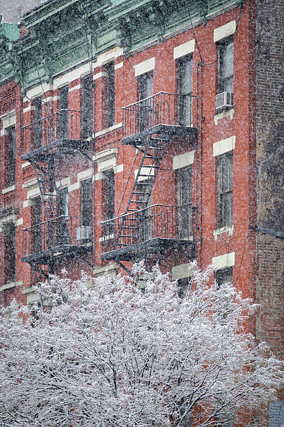istock Hells Kitchen Building and Snow Covered Tree, Winter, New York 494946610