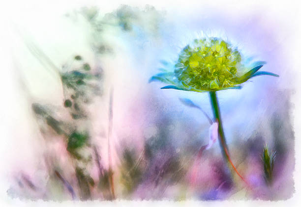 istock Graceful forest flower painted by watercolor. 494950294