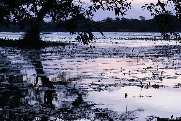 istock Habrana Lake at Dusk 494950916