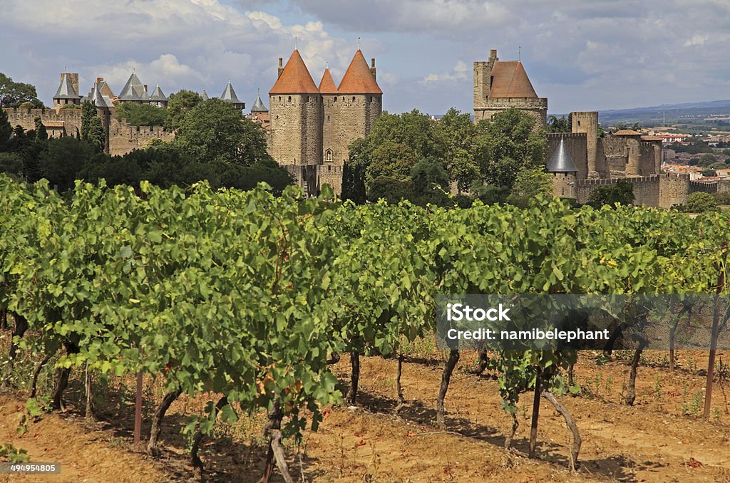 Carcassonne Vineyard with the ancient fortified town of Carcassonne in the background. Carcassonne Stock Photo