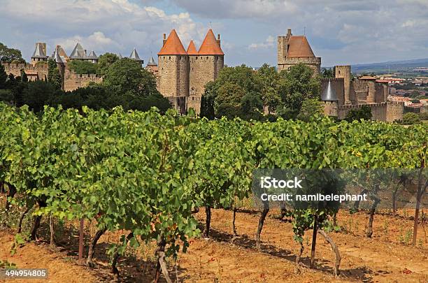 Carcassonne Stock Photo - Download Image Now - Carcassonne, Languedoc-Rousillon, Vineyard