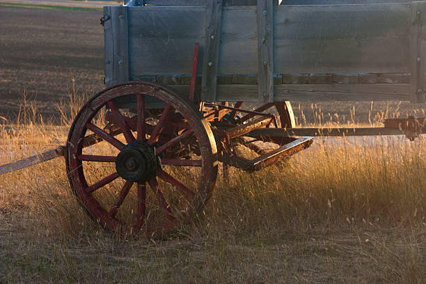 istock Conestoga Wagon, Wyoming 494954979