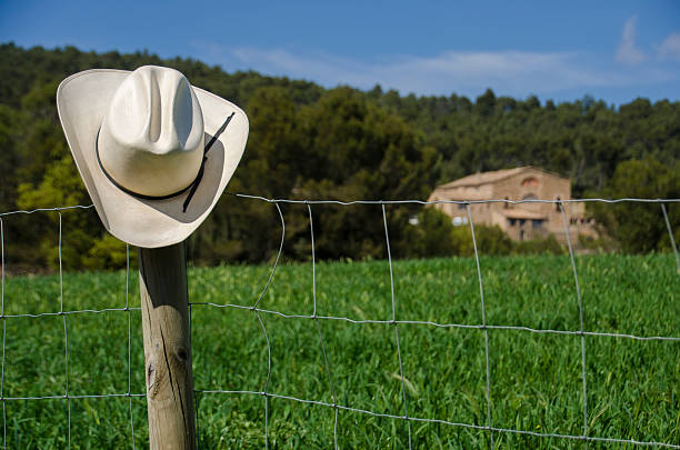 istock Cowboy hat on a fence 494955793