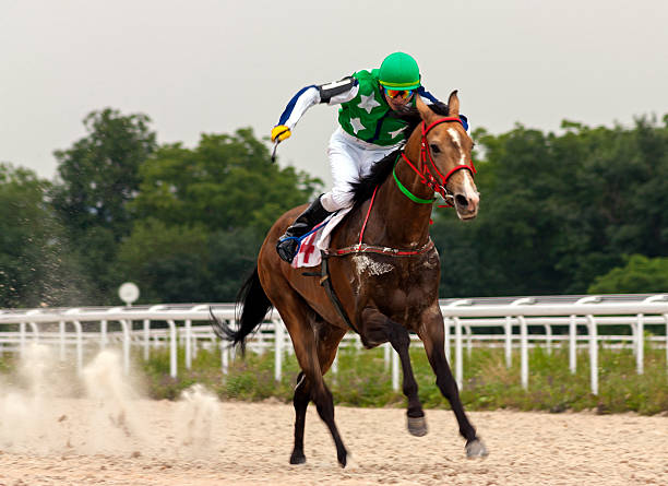 corrida de cavalos - flat racing imagens e fotografias de stock