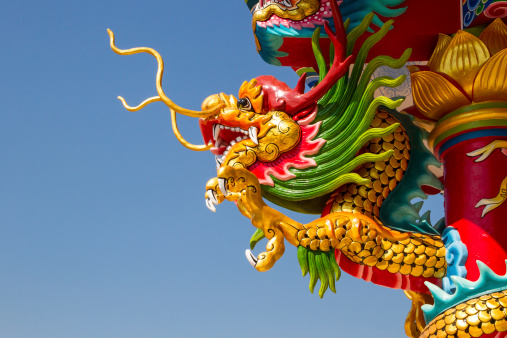 The asian chinese dragon and phoenix, traditional chinese