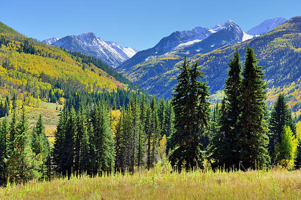 istock alpine landscape with snow covered mountains in Colorado during foliage 494958352