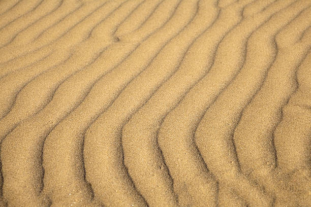 istock Sand waving on the beach 494958623