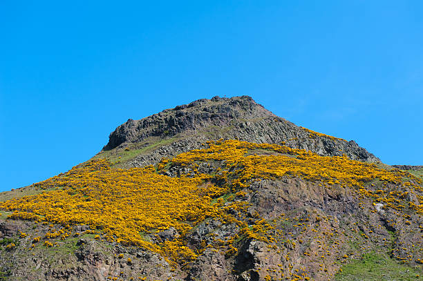 istock landscape of Edinburgh 494961037