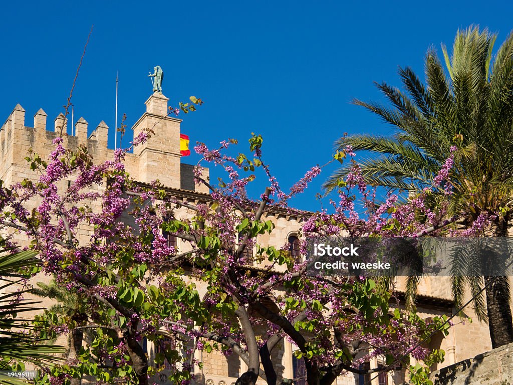 Majorca Arcade Stock Photo