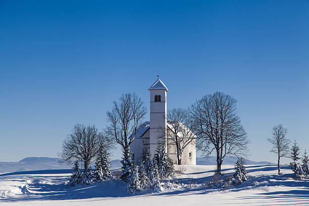 istock Winter landscape in snow forest 494963126
