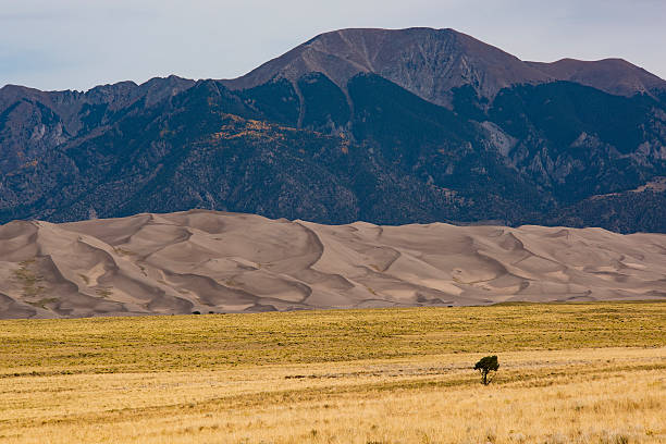 istock Great Sand Dunes National Park and Preserve 494964244