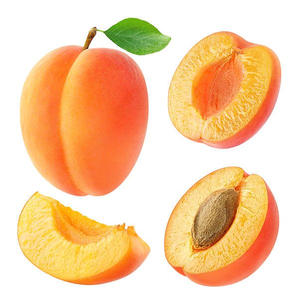 Collection of whole and cut apricots isolated on white