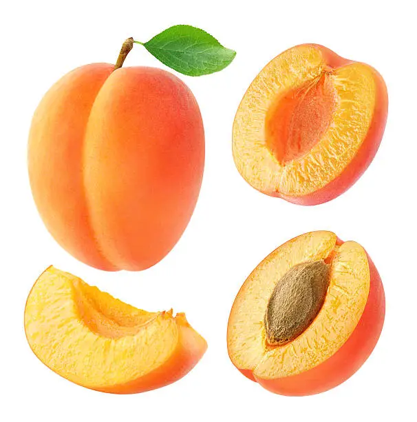 Photo of Collection of whole and cut apricots isolated on white