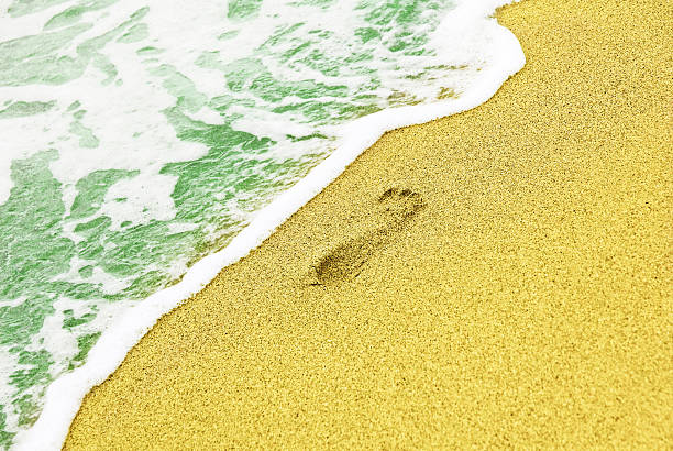 traza humanos en la playa cerca de mar azul, olas. - barefoot behavior toned image close up fotografías e imágenes de stock