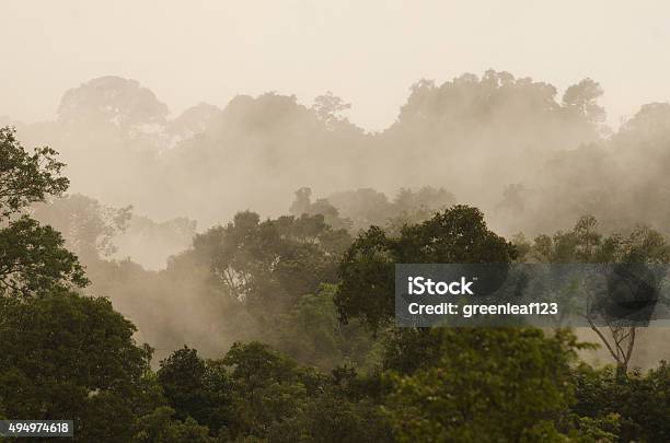 Wilgotny Las Równikowy Wygląd Wilgotny Las Równikowy Park Narodowy Khau Yai Tajlandia - zdjęcia
