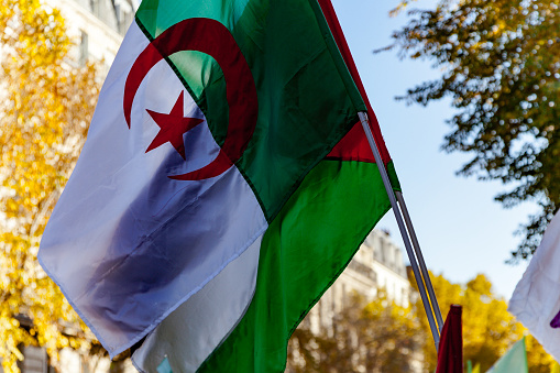 Paris, France - October 31, 2015: Algerian flag during the anti racism event in Paris.