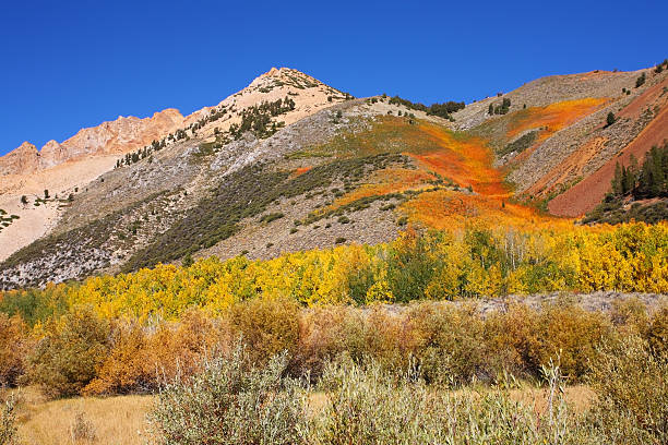 istock Magnificent  mountains in vicinities the Northlake 494975978