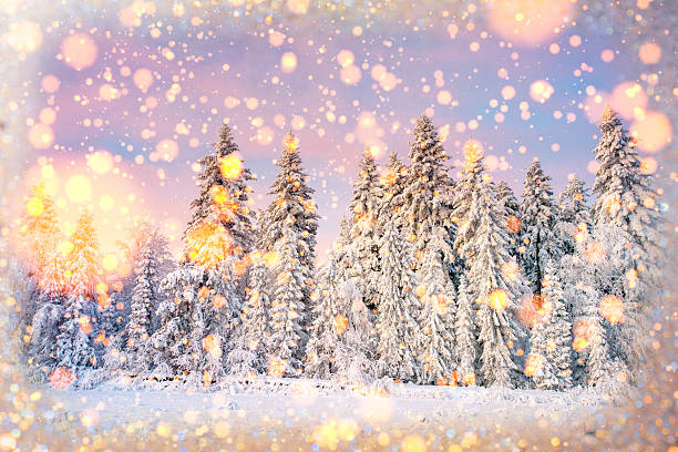 istock winter landscape trees snowbound, bokeh background with snowflak 494976198