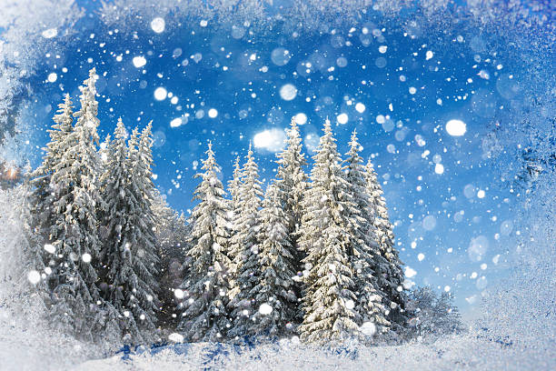 istock winter landscape trees snowbound, bokeh background with snowflak 494976258