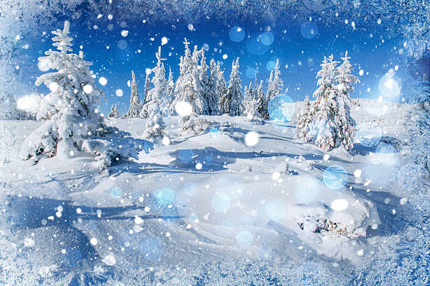 istock winter landscape trees snowbound, bokeh background with snowflak 494976402
