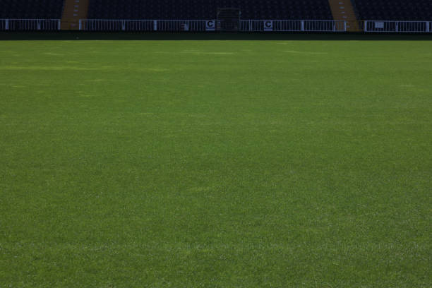 istock Soccer stadium green grass field 494976806