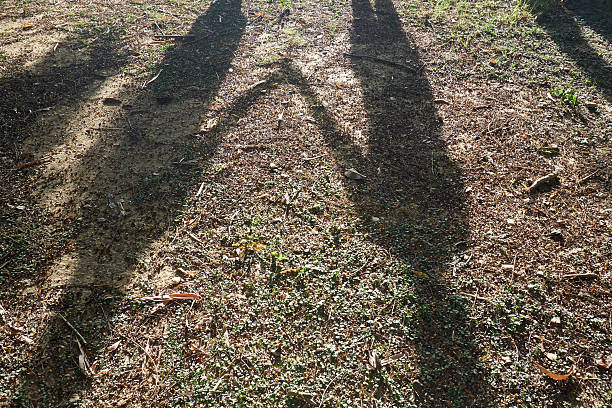 istock Shadow of woman hold hands 494977414