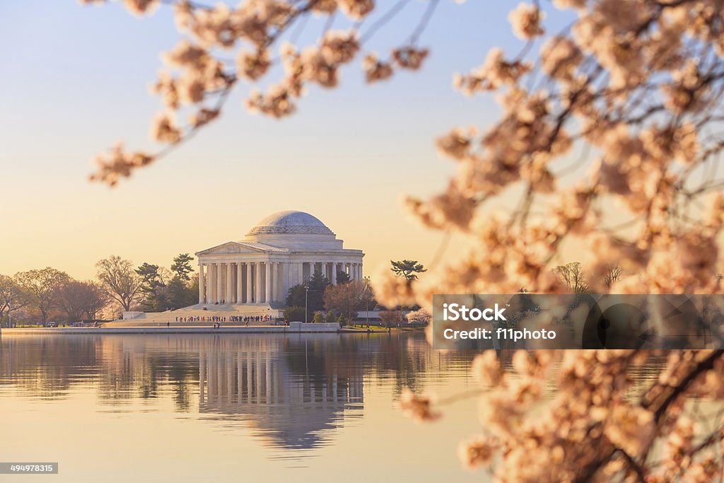 the Jefferson Memorial during the Cherry Blossom Festival the Jefferson Memorial during the Cherry Blossom Festival. Washington, DC April Stock Photo