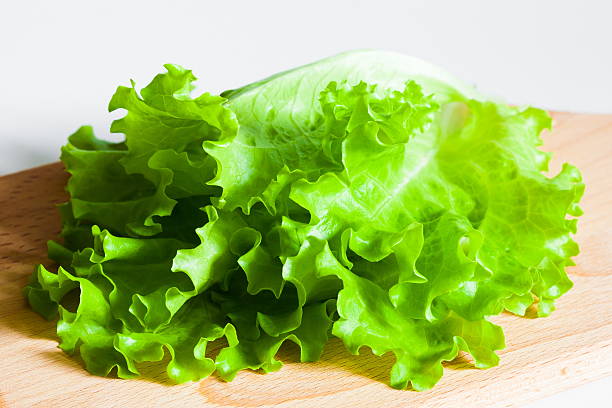 salada verde alface - slenderize imagens e fotografias de stock