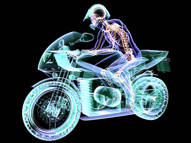 istock Motorcycle and Biker's Anatomy 494978658
